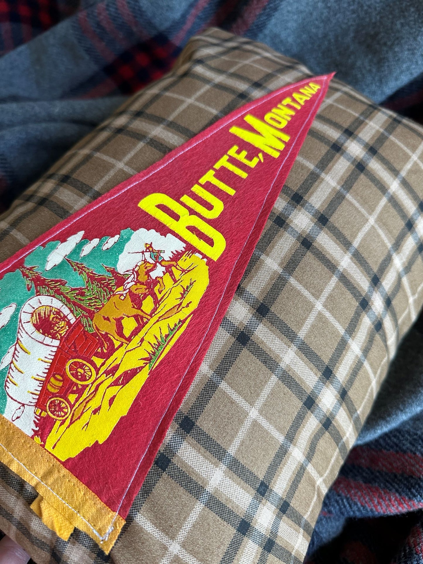 Montana Butte Vintage Pennant on New Woven Throw Pillow