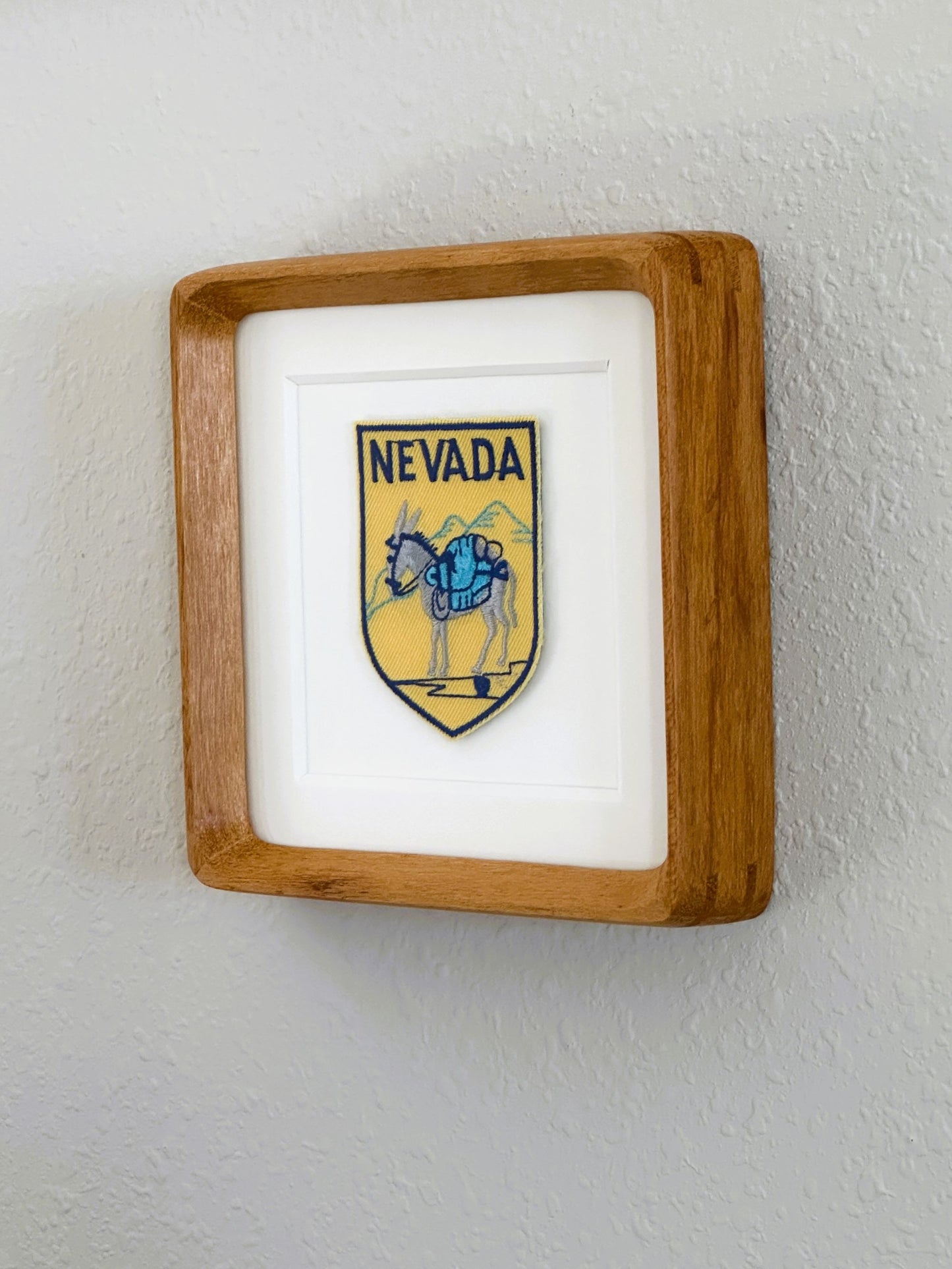 Nevada Vintage Framed Travel Patch
