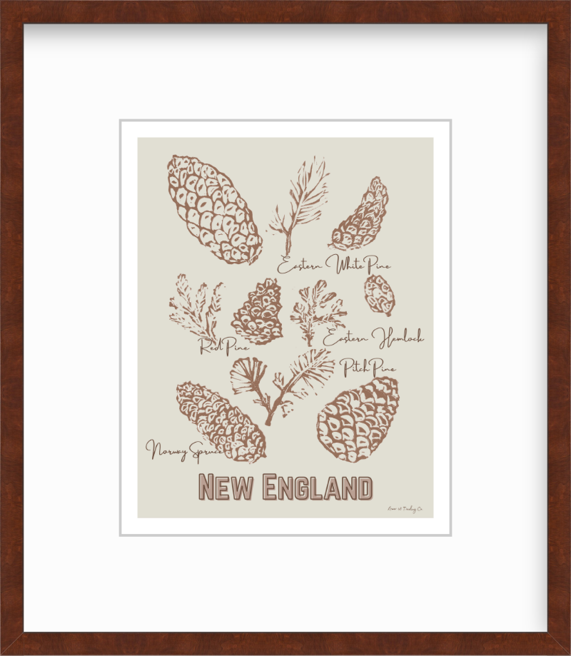 New England Pinecones Block Print by Nikki Degn Giclee Art Print