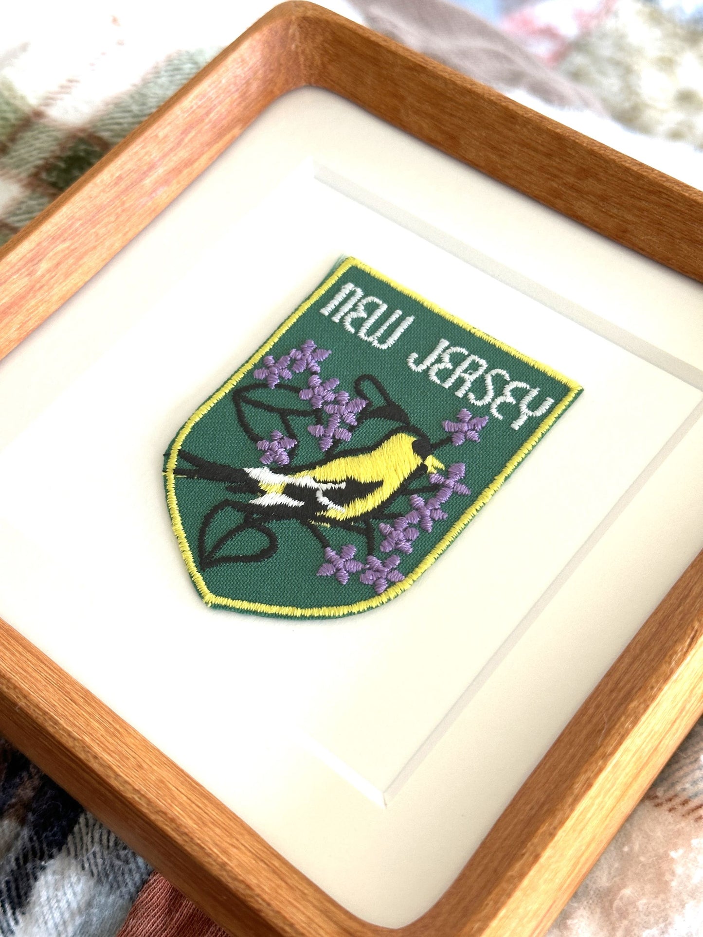 New Jersey Vintage Framed Travel Patch