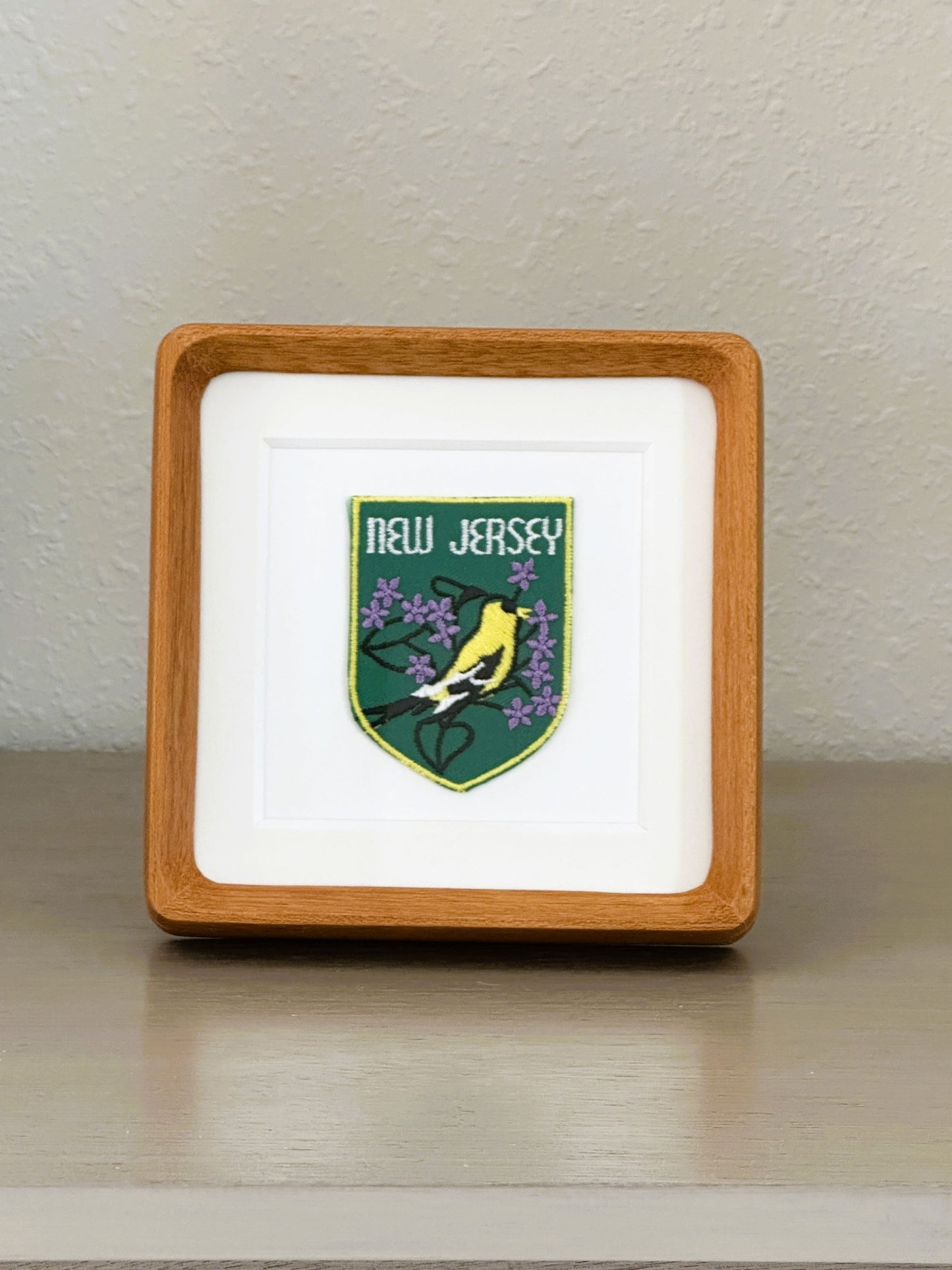 New Jersey Vintage Framed Travel Patch