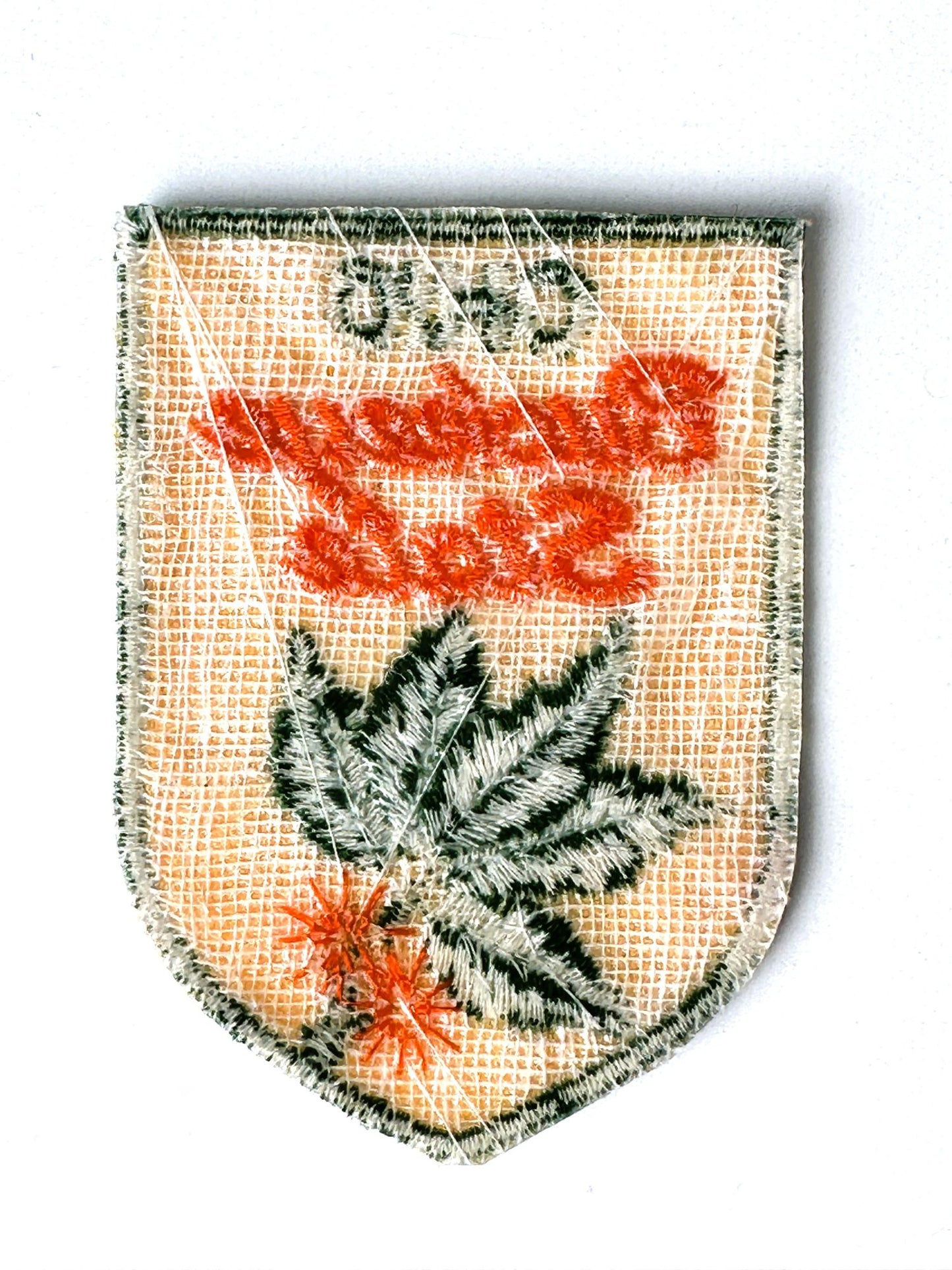 Ohio Buckeye State Vintage Patch