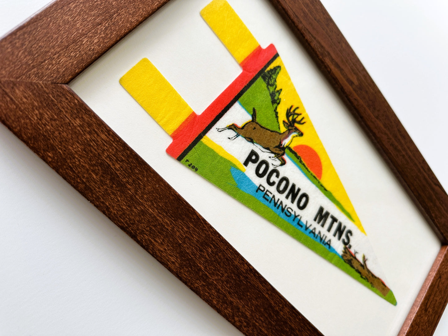 Pennsylvania Pocono Mountains Small Retro Framed Vintage Pennant