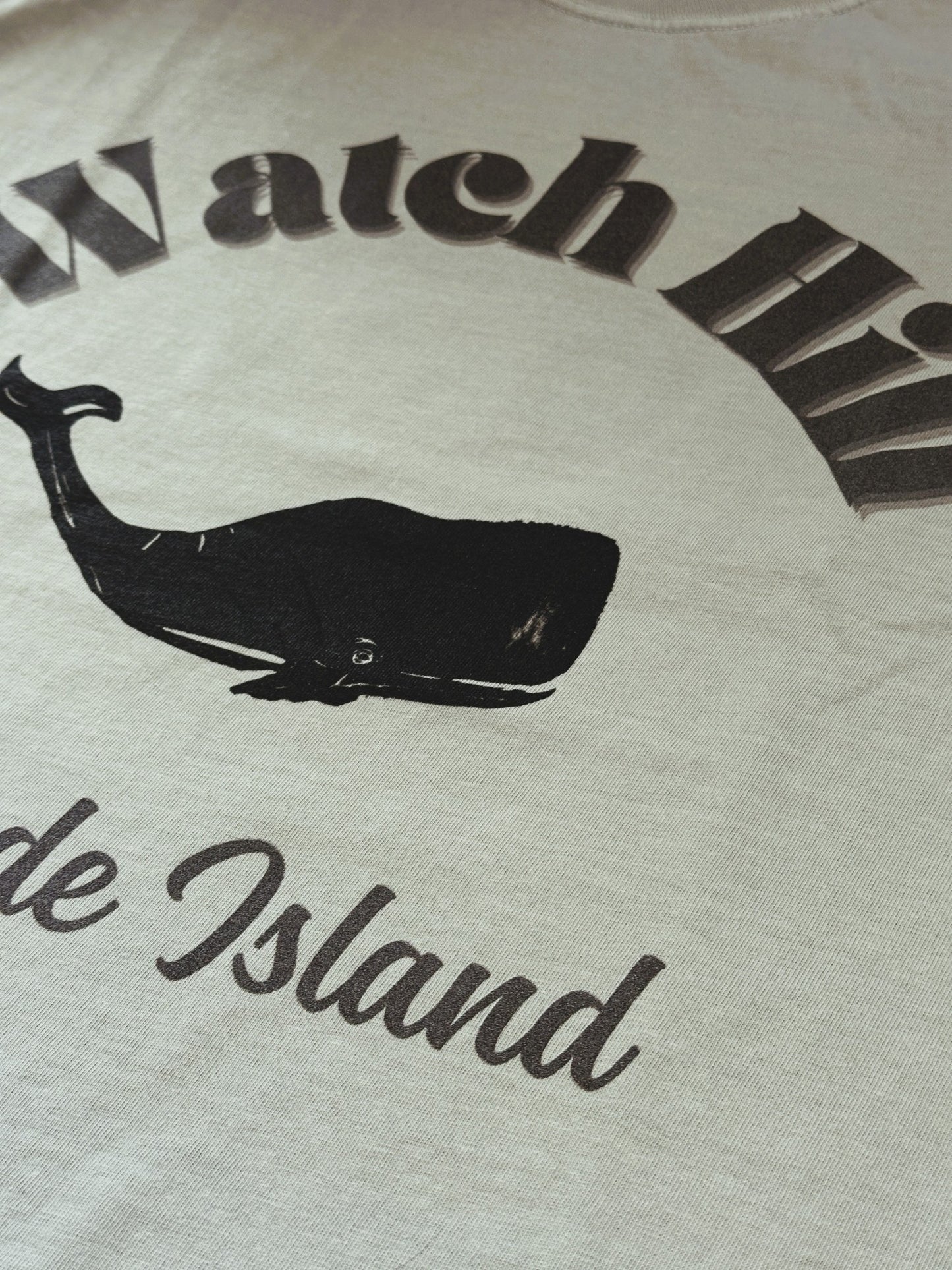 Rhode Island Watch Hill Whale Adult Unisex T-Shirt Bay Green