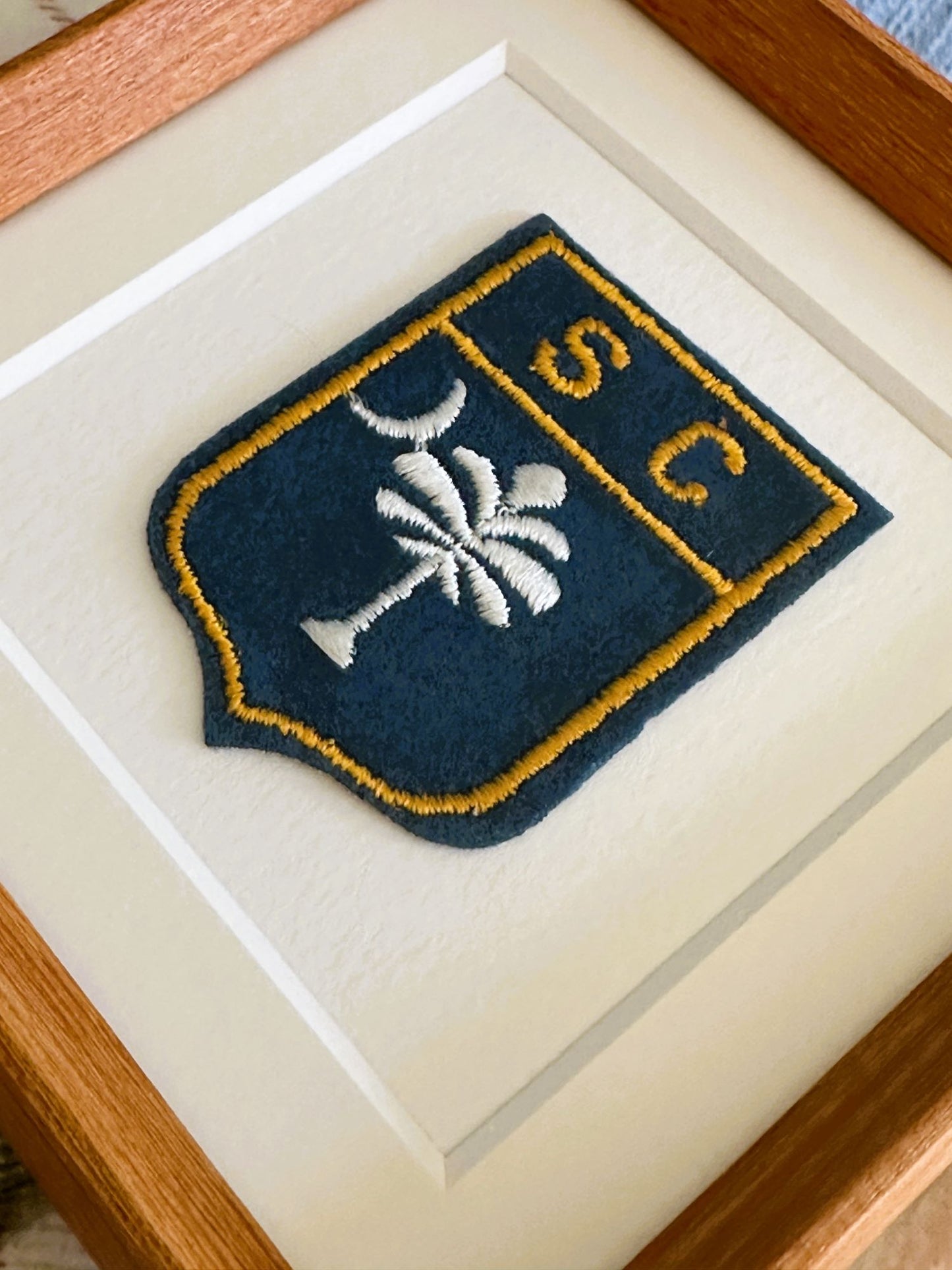 South Carolina State Palm Tree Vintage Framed Travel Patch