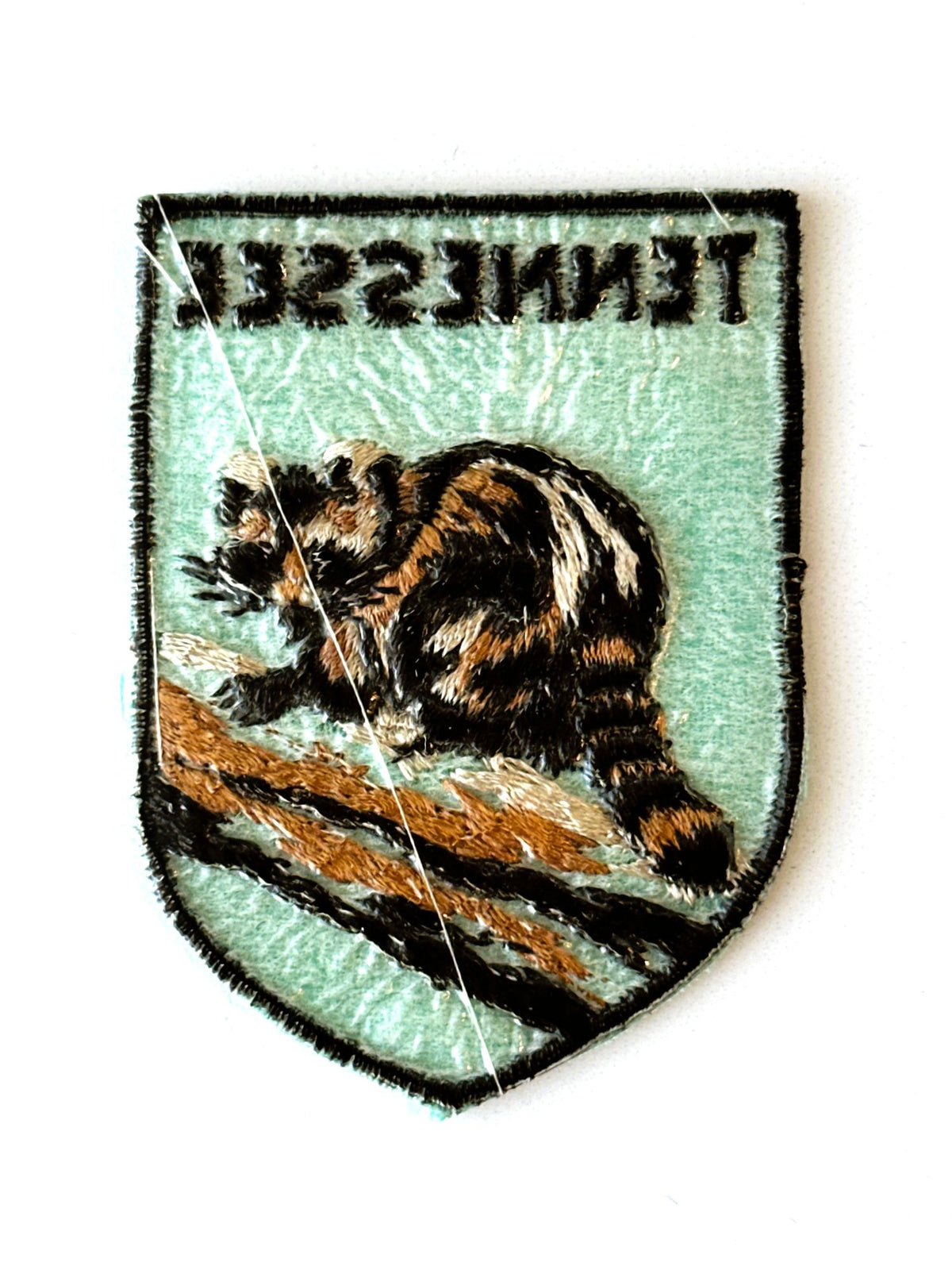 Tennessee Raccoon Vintage Patch