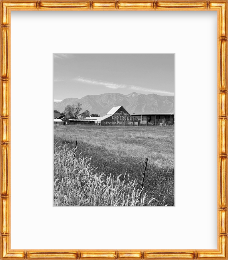 Utah Cache Valley Barn Black and White Giclee Print