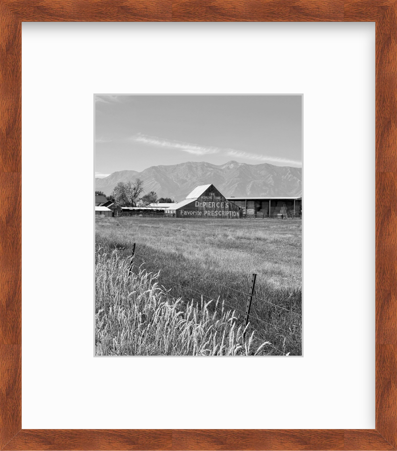 Utah Cache Valley Barn Black and White Giclee Print