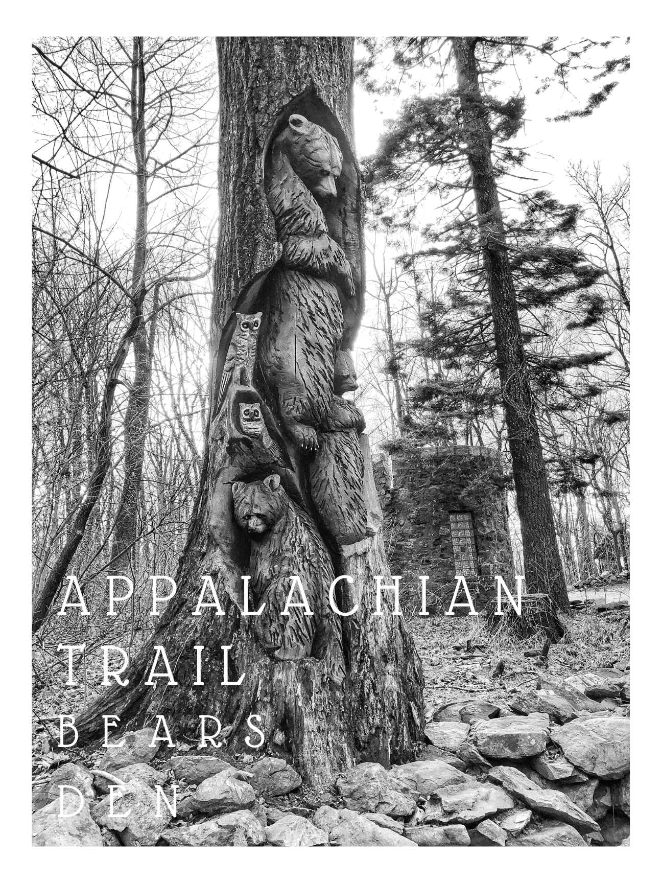 Virginia Appalachian Trail at Bears Den Giclee Travel Print