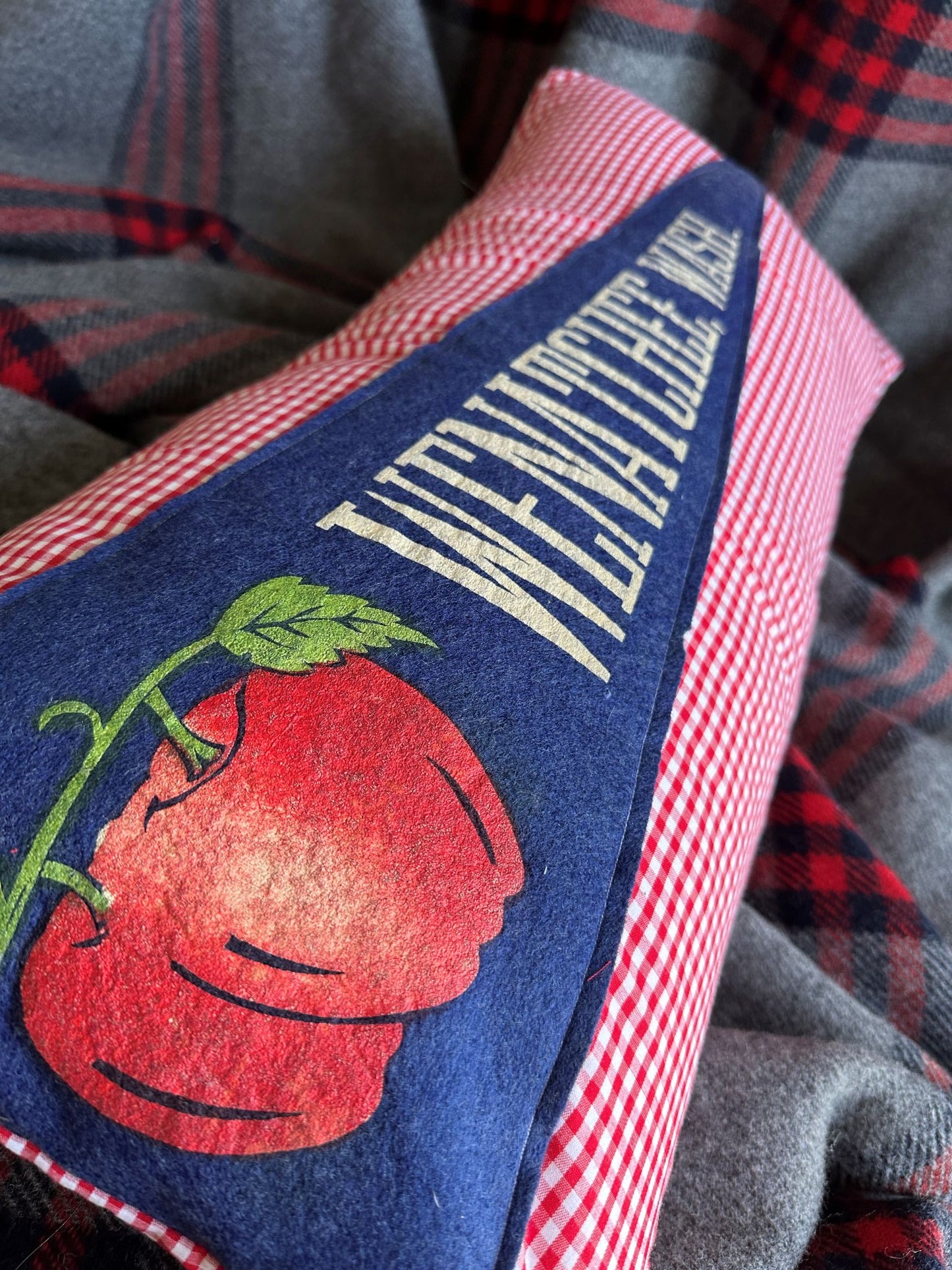 Washington Wenatchee Vintage 1950s Pennant on New Woven Throw Pillow