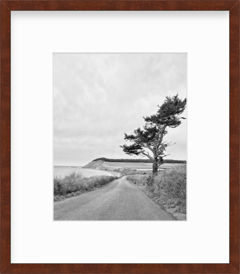 Washington Whidbey Island Coupeville Ebey's Landing Giclee Travel Print