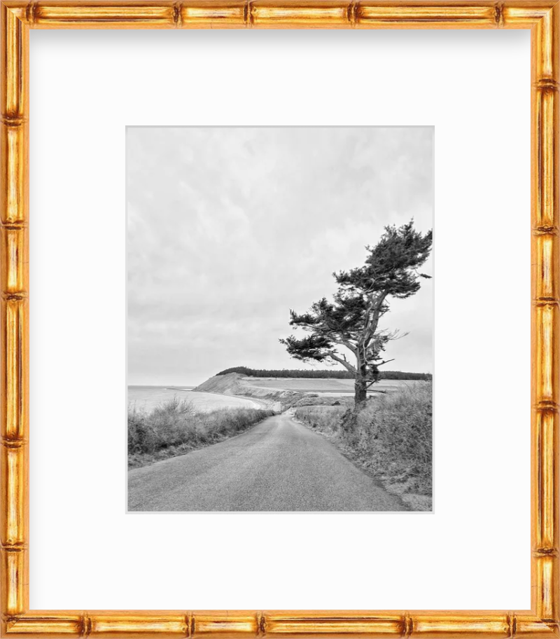 Washington Whidbey Island Coupeville Ebey's Landing Giclee Travel Print