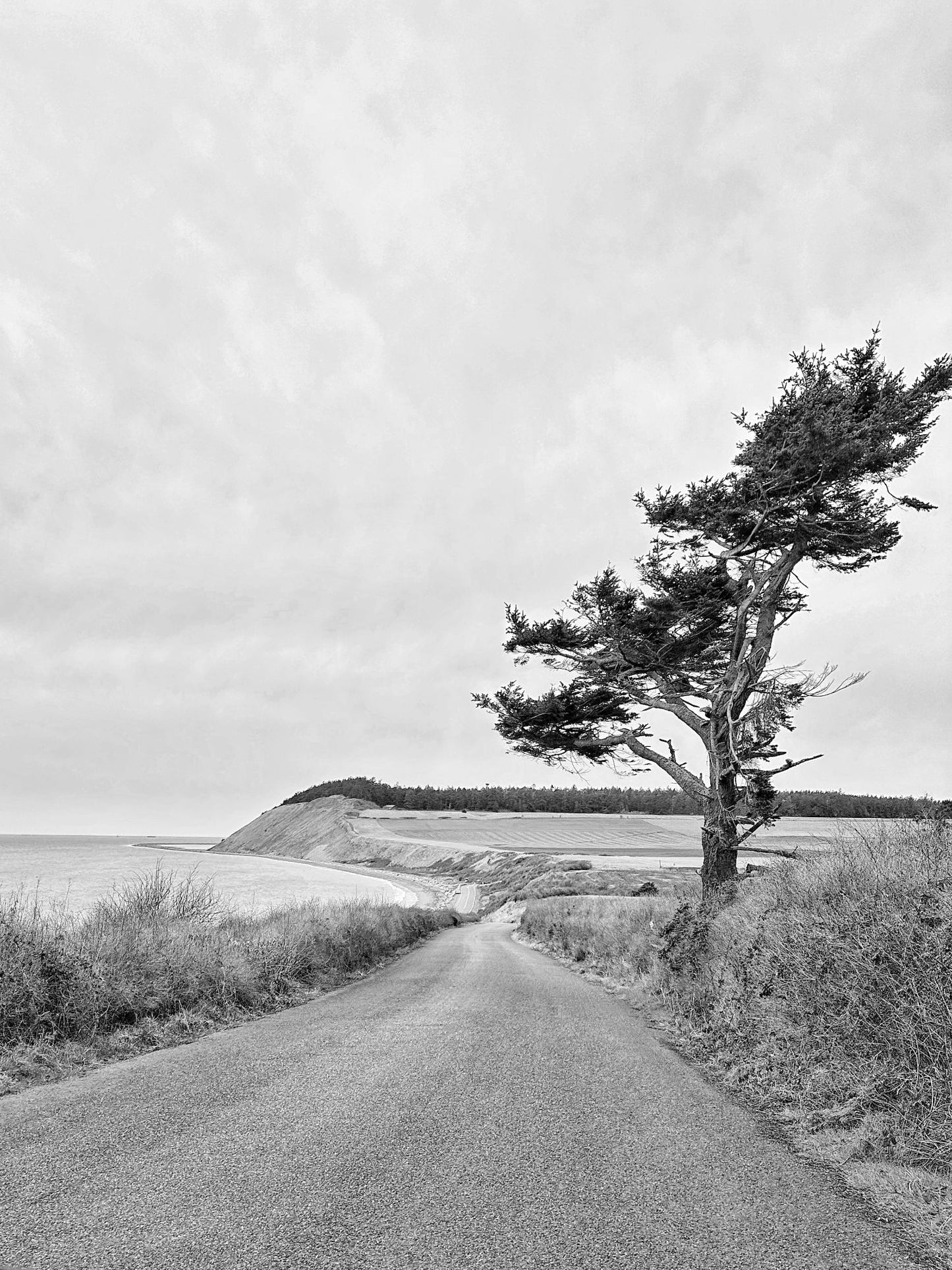 Washington Whidbey Island Coupeville Ebey's Landing Giclee Travel Print
