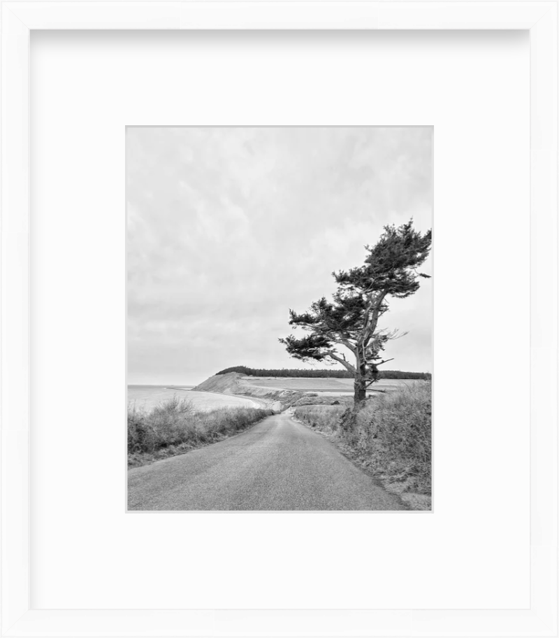 Washington Whidbey Island Coupeville Ebey's Landing Giclee Travel Print