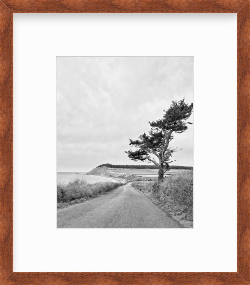 Washington Whidbey Island Coupeville Ebey's Landing Giclee Travel Print