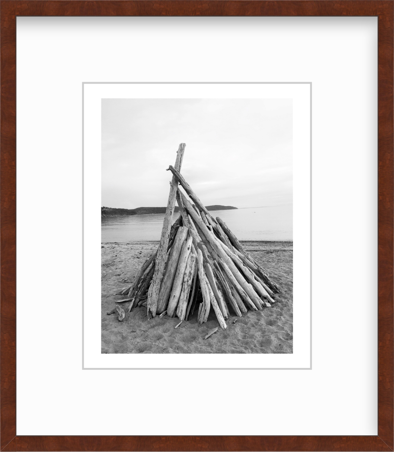 Washington Fidalgo Island Driftwood at Burrows Bay Giclee Travel Print