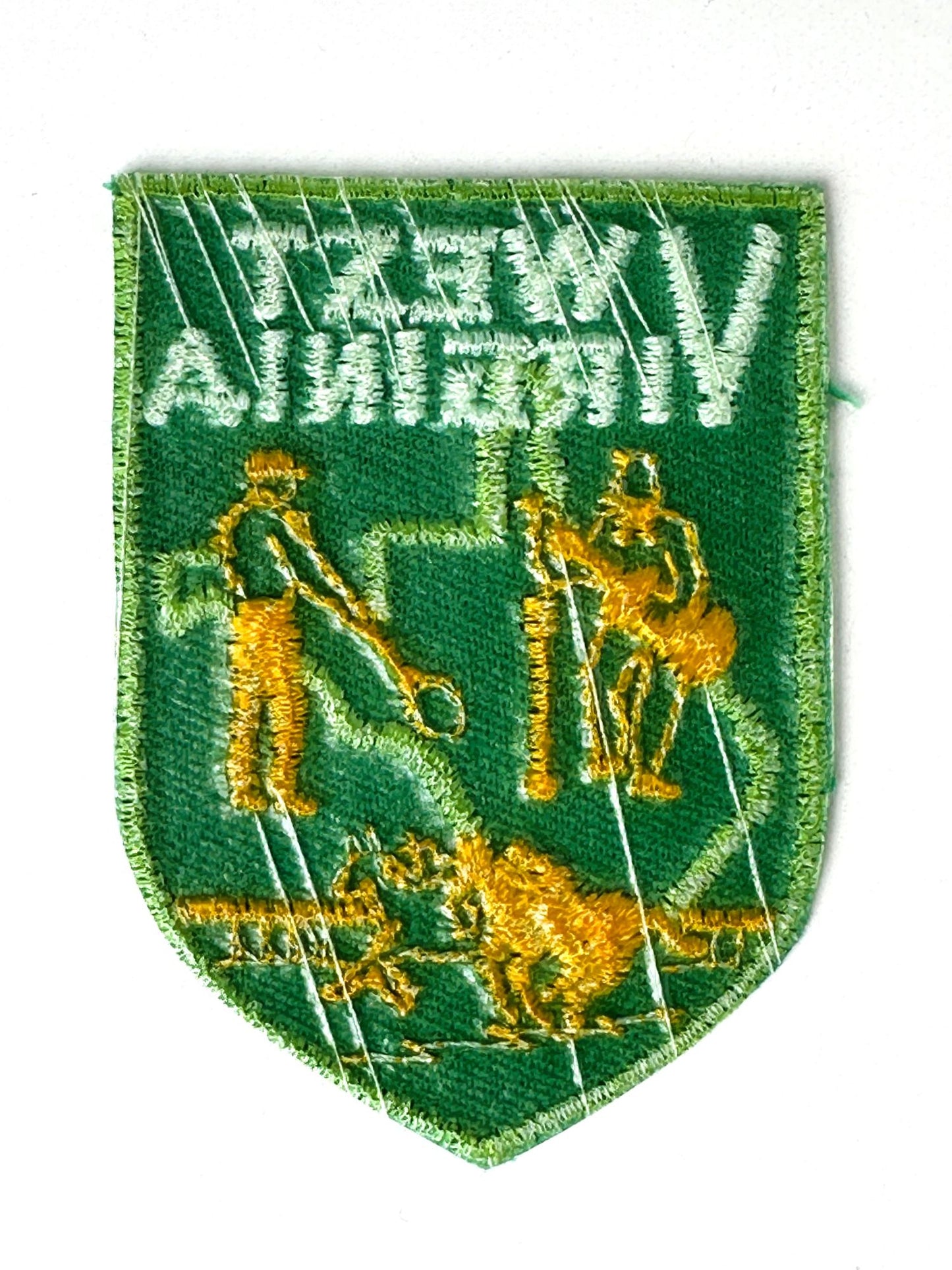 West Virginia Green State Vintage Patch