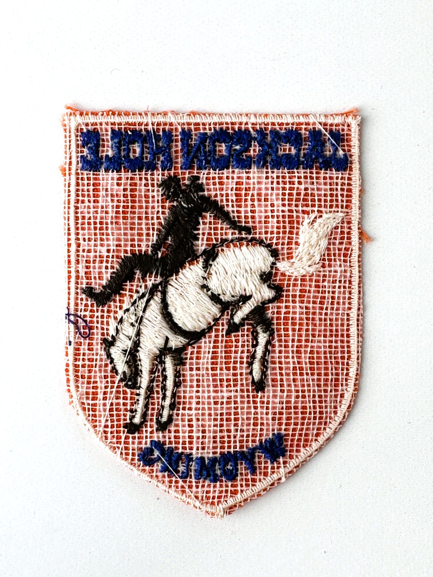 Wyoming Jackson Hole Bucking Horse Vintage Patch