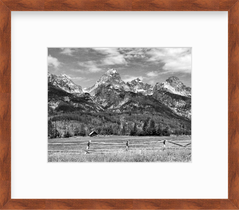 Wyoming Grand Teton National Park in Summer Giclee Travel Print