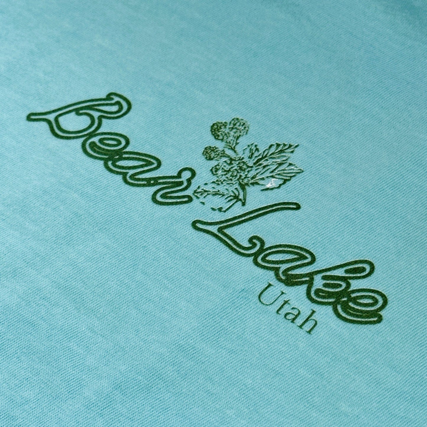 Utah Bear Lake Raspberries Adult Unisex T-Shirt Mint Blue Green