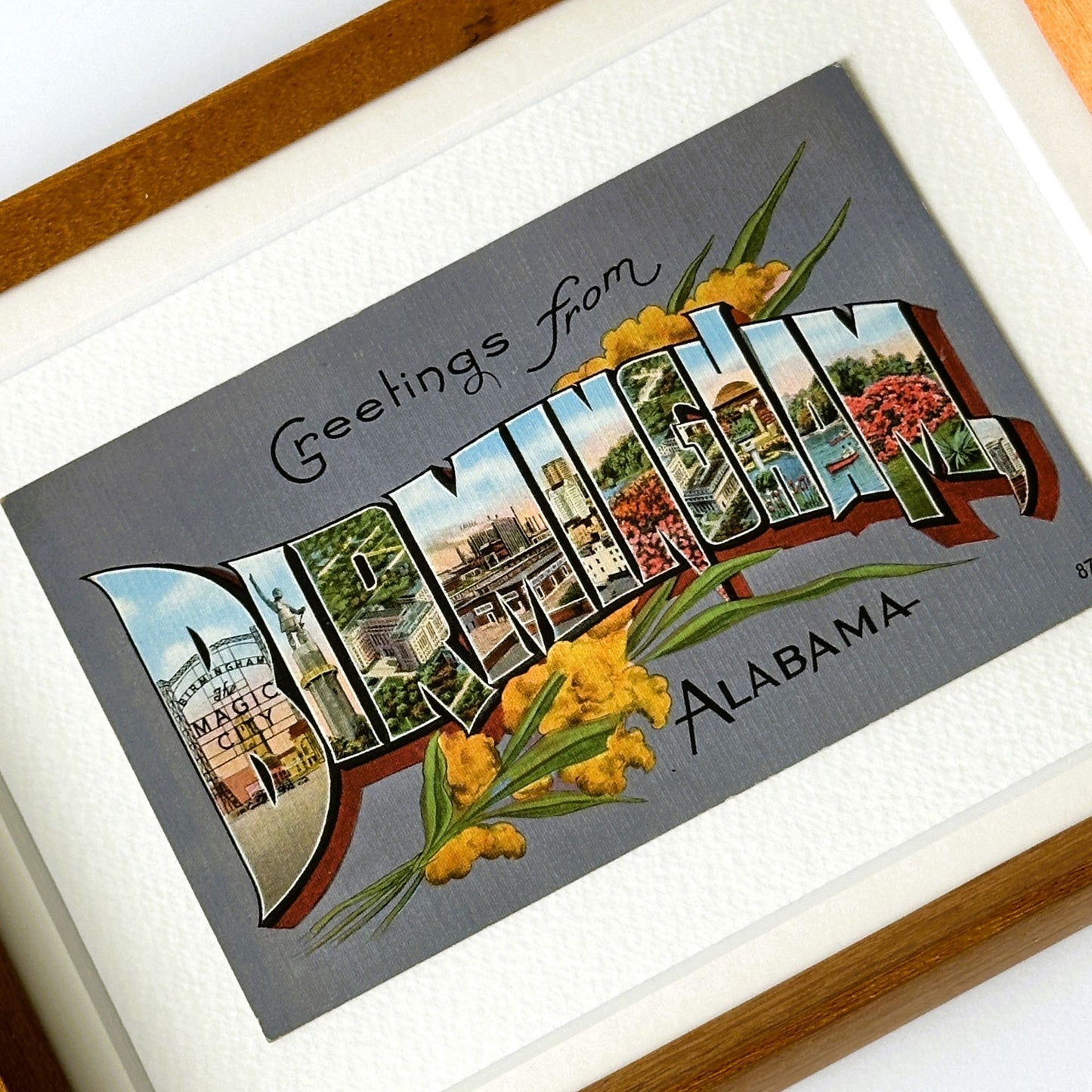 Alabama Birmingham Framed Vintage Postcard