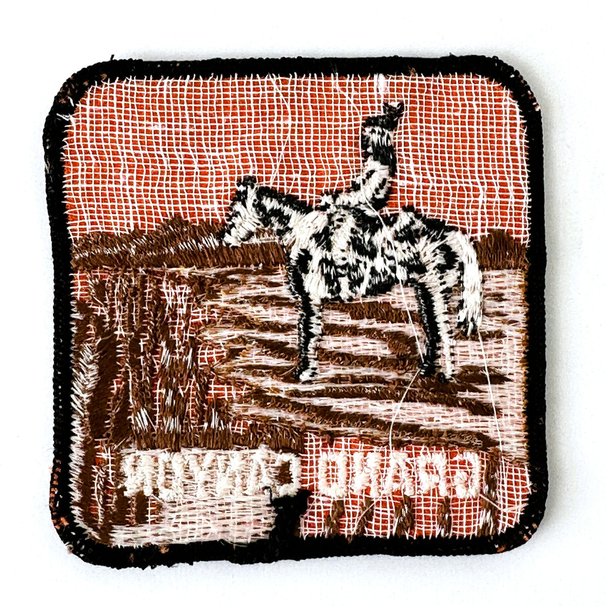 Arizona Grand Canyon National Park Native American Horse Large Vintage Patch