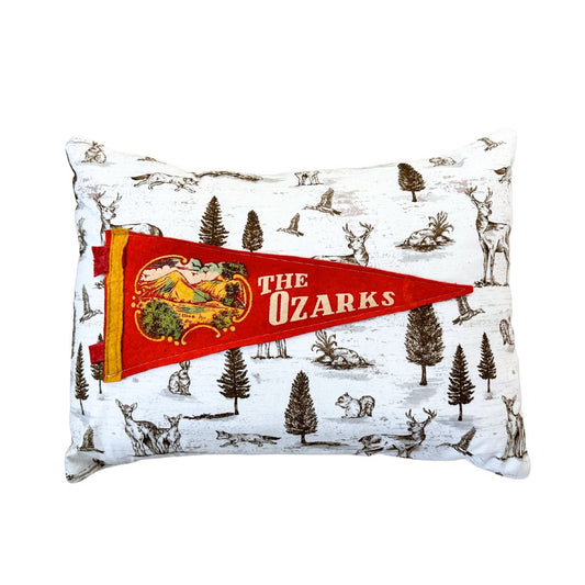 Arkansas Missouri Oklahoma Kansas THE OZARKS Vintage Red Pennant on New Woodland Fabric