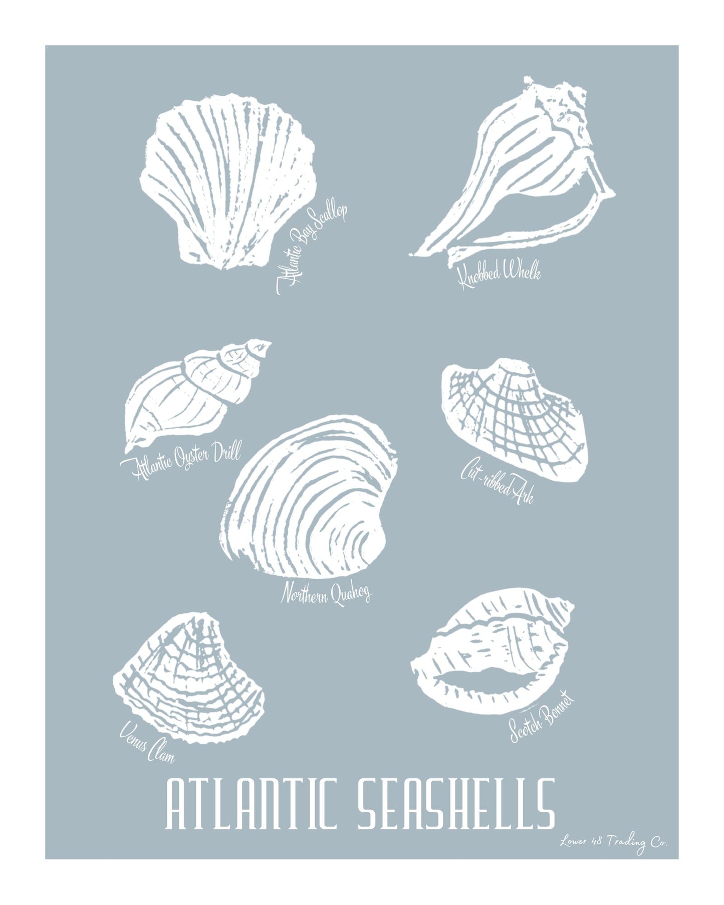 Atlantic Seashells Block Print by Nikki Degn Giclee Art Print