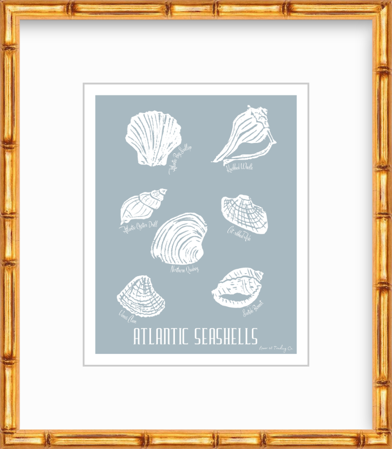 Atlantic Seashells Block Print by Nikki Degn Giclee Art Print