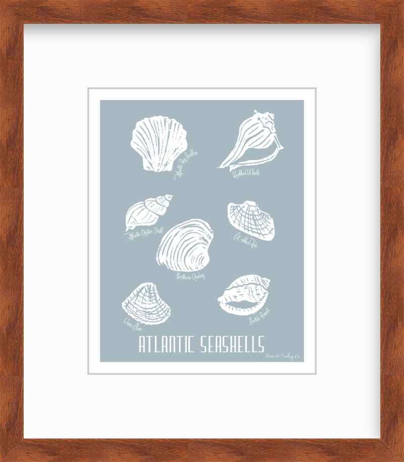 Atlantic Seashells Block Print by Nikki Degn Giclee Art Print