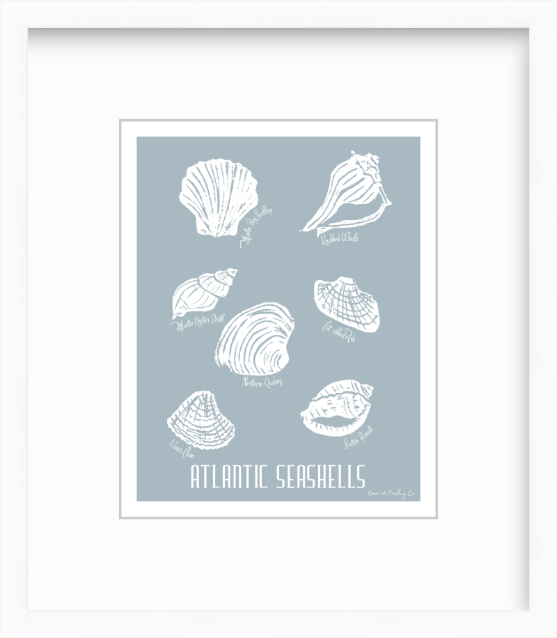 Atlantic Seashells Block Print by Nikki Degn Giclee Art Print