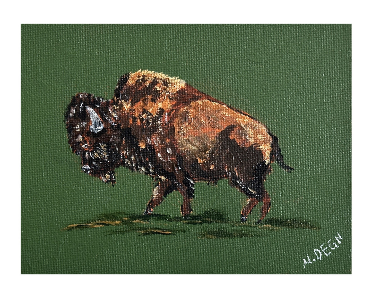 Wyoming Bison Painting Giclee Art Print