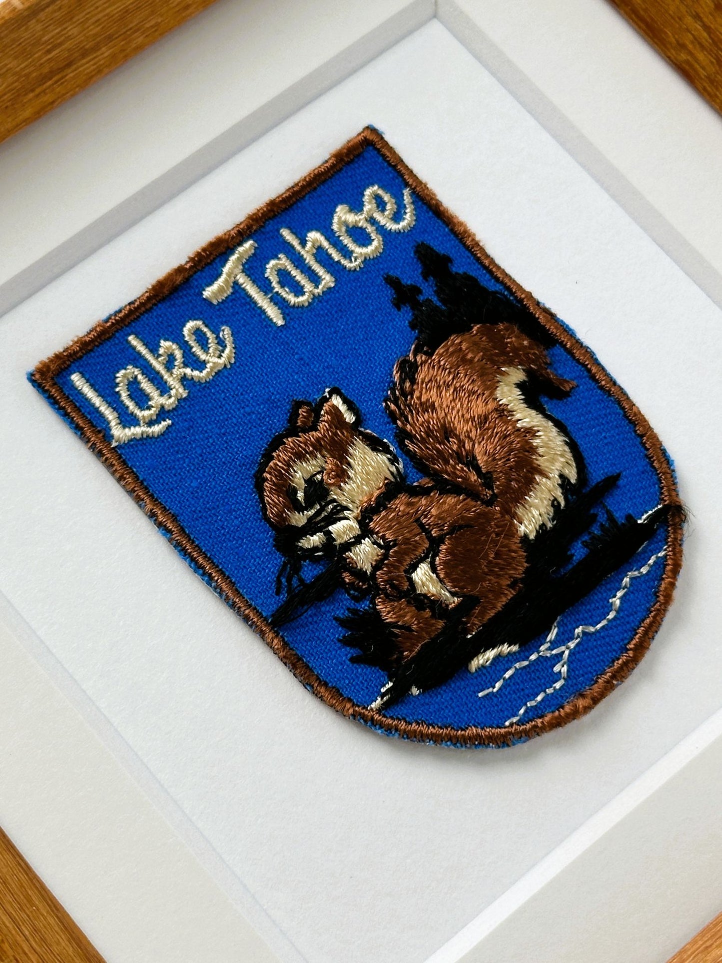 California Nevada Lake Tahoe  Squirrel Vintage Patch Wood Framed