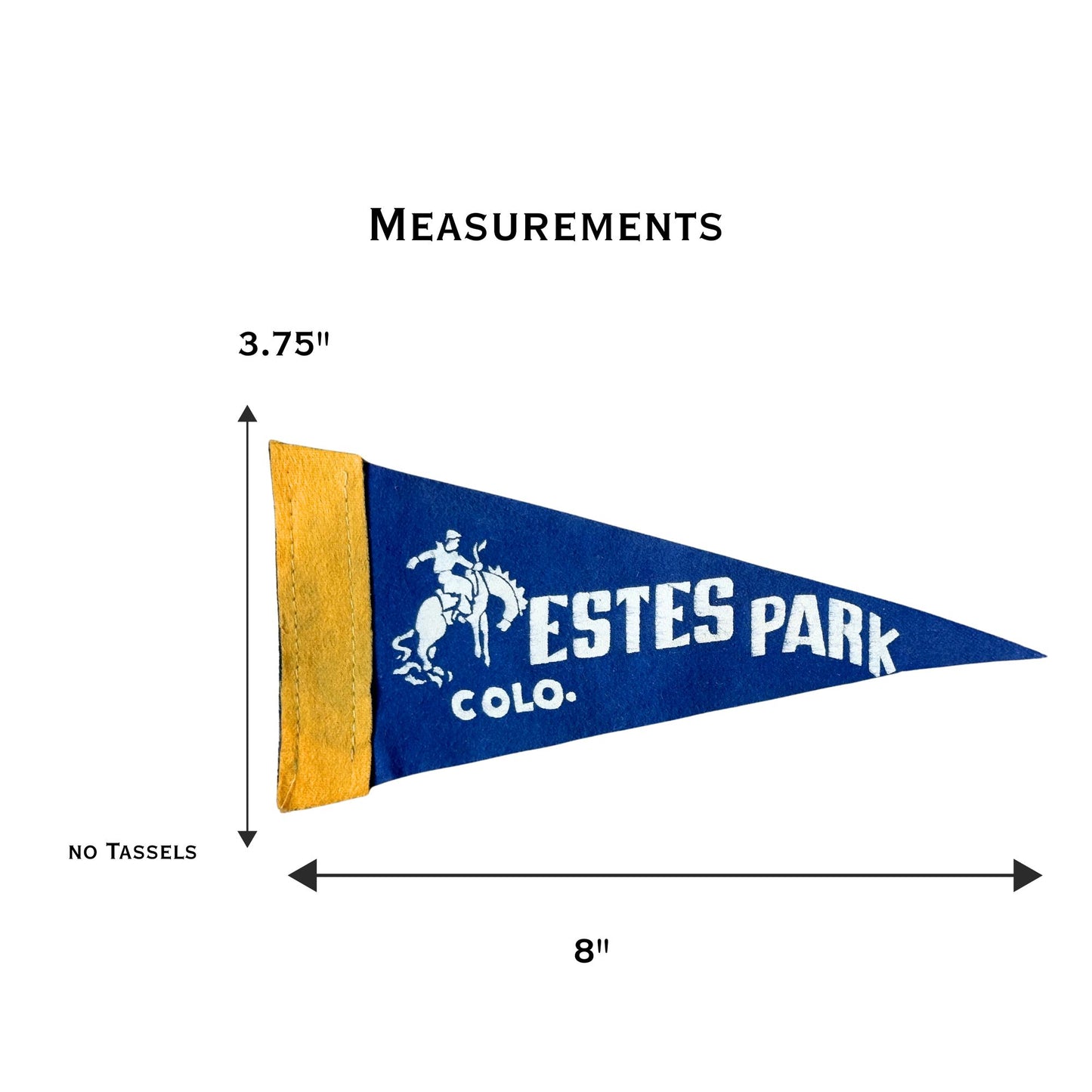Colorado Estes Park Small Vintage Pennant