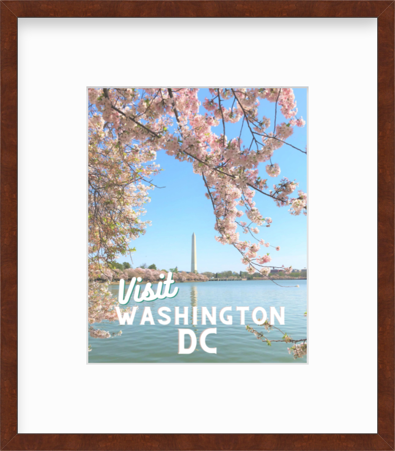 DC Cherry Blossoms Tidal Basin Washington Monument DC Giclee Travel Print