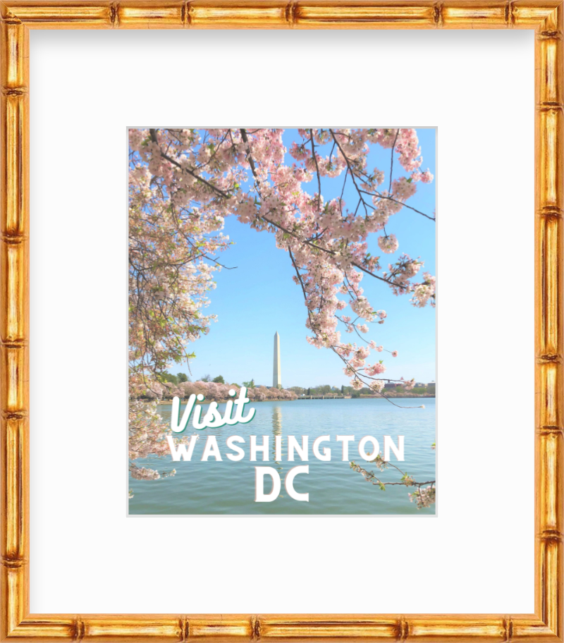 DC Cherry Blossoms Tidal Basin Washington Monument DC Giclee Travel Print