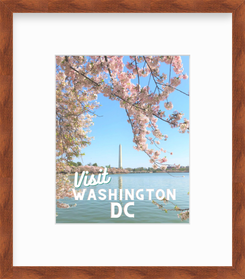 DC Cherry Blossoms Tidal Basin Washington Monument DC Giclee Travel Print