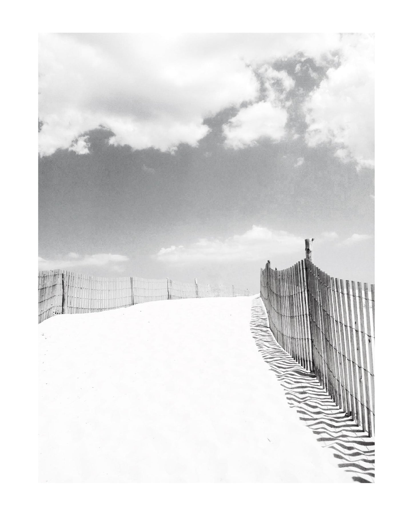 Delaware Fenwick Island State Park Giclee Travel Print