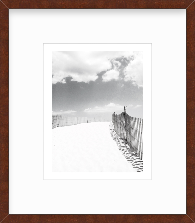 Delaware Fenwick Island State Park Giclee Travel Print