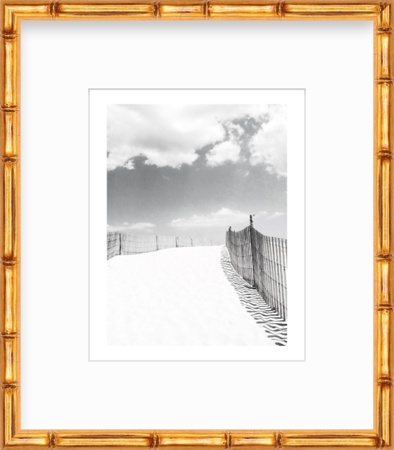 Delaware Fenwick Island State Park Giclee Travel Print