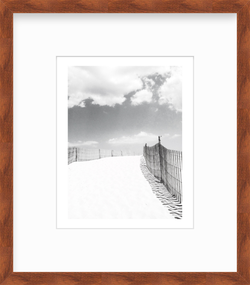 Delaware Fenwick Island State Park Giclee Travel Print