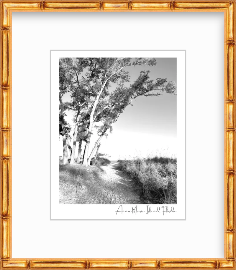Florida Anna Maria Island Coquina Beach Path Giclee Travel Print