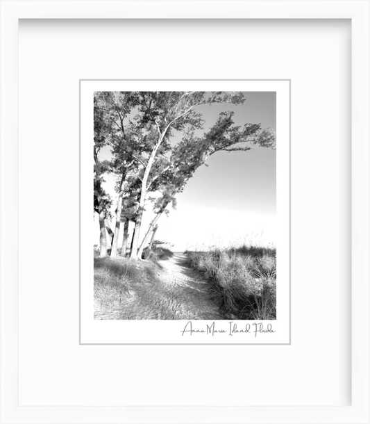 Florida Anna Maria Island Coquina Beach Path Giclee Travel Print