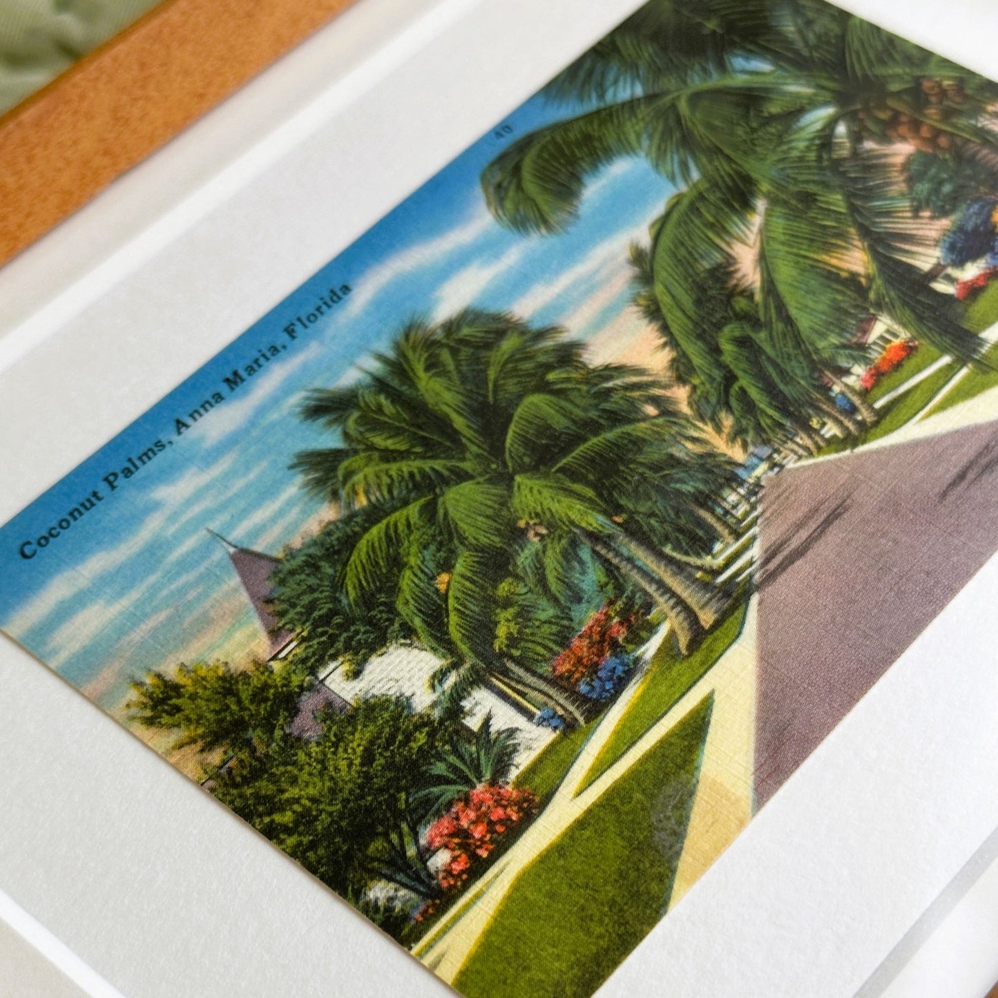 Florida Anna Maria Island Pine Ave Framed Vintage Postcard