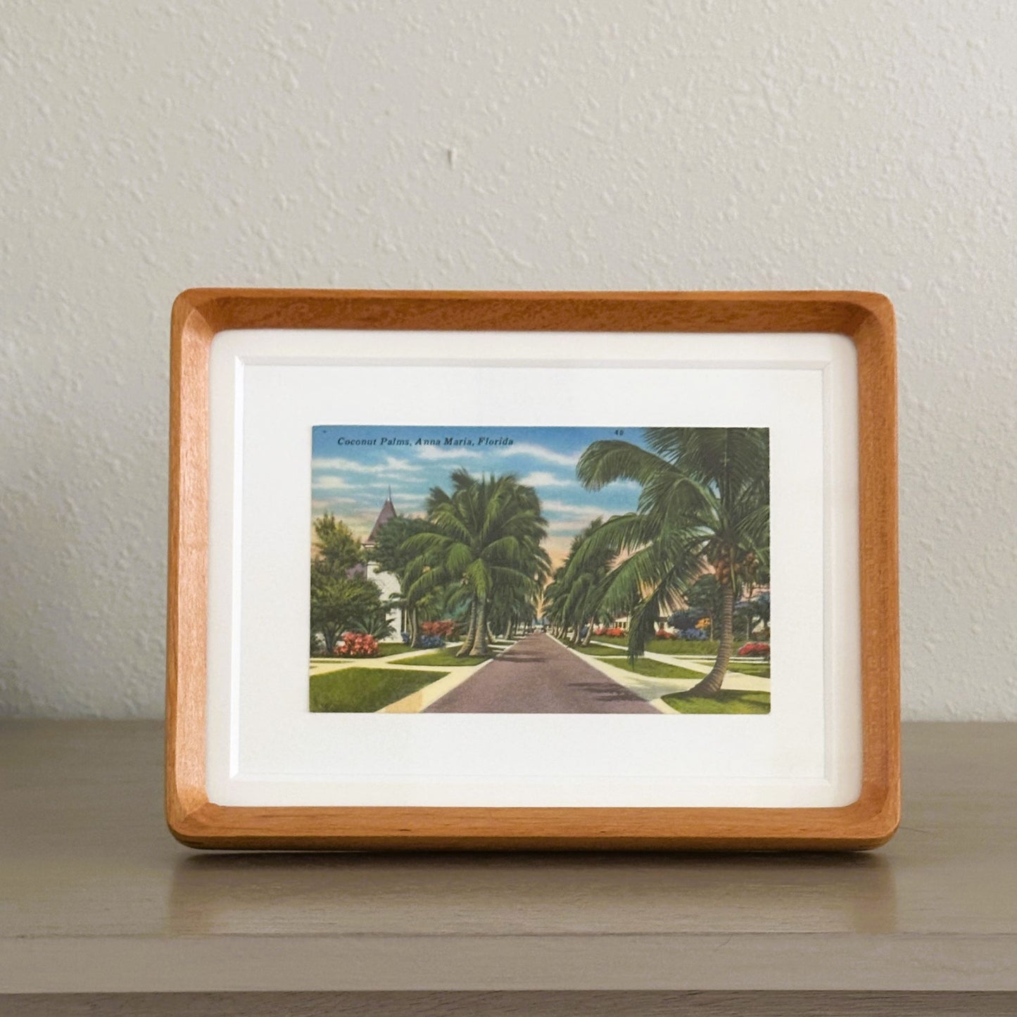Florida Anna Maria Island Pine Ave Framed Vintage Postcard