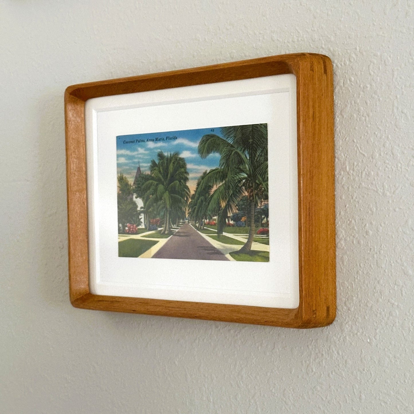 Florida Anna Maria Island Pine Ave Framed Vintage Postcard