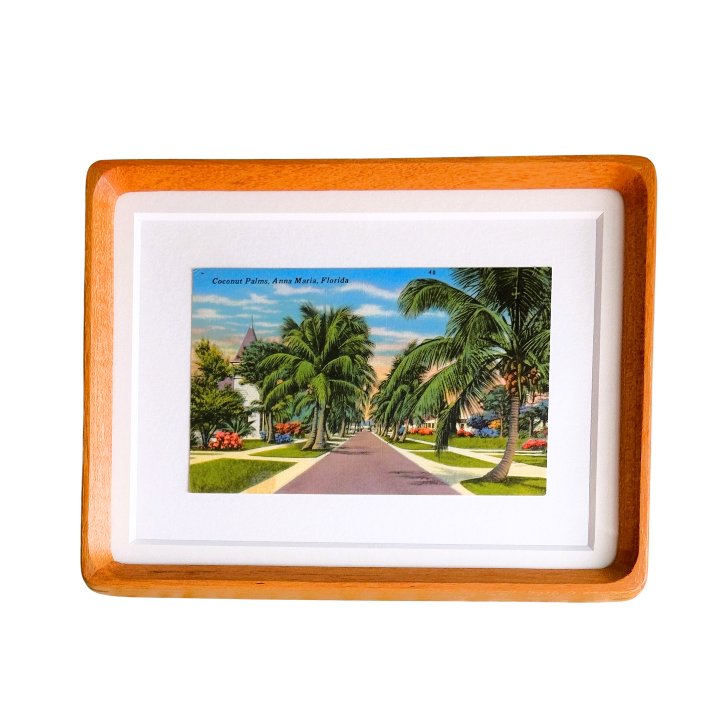 Florida Anna Maria Island Pine Ave Framed Vintage Postcard