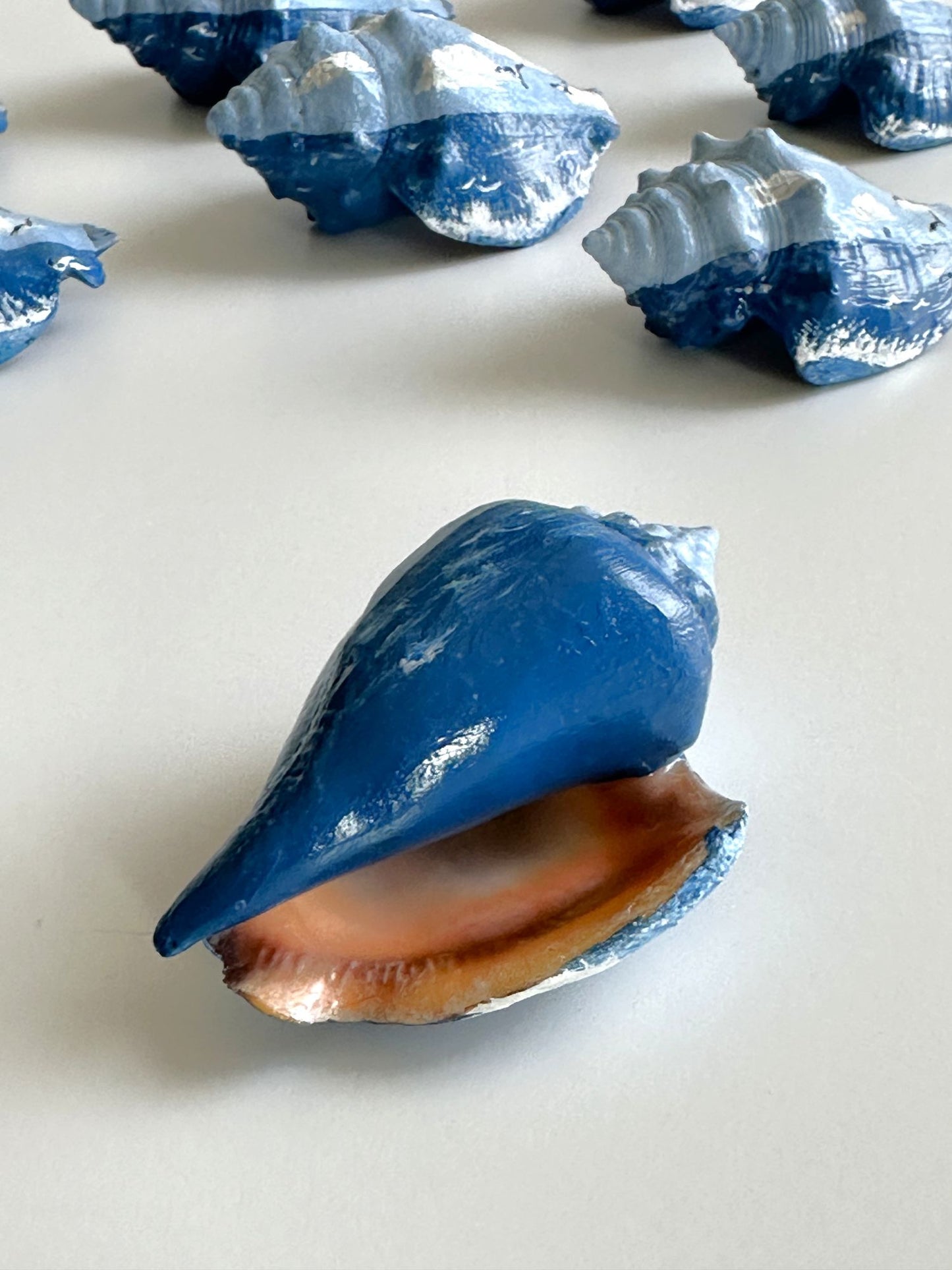 Florida Fighting Conch Shell with Hand Painted Original Art