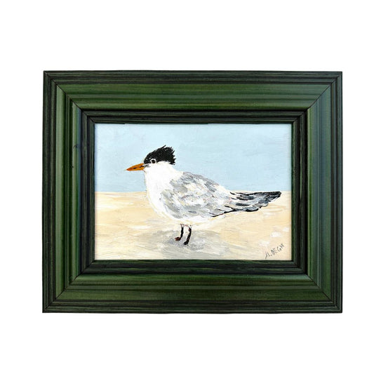 Florida Sandwich Tern Shorebird Original Painting on Canvas by Nikki Degn, Vintage Framed