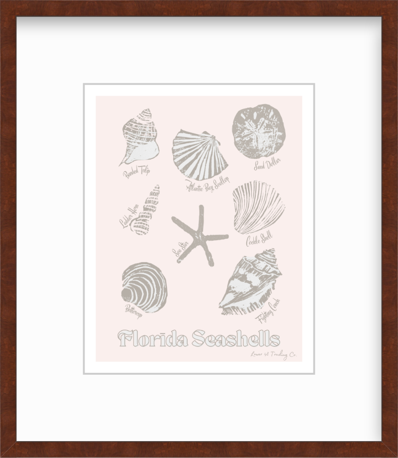 Florida Seashells Block Print by Nikki Degn Giclee Art Print